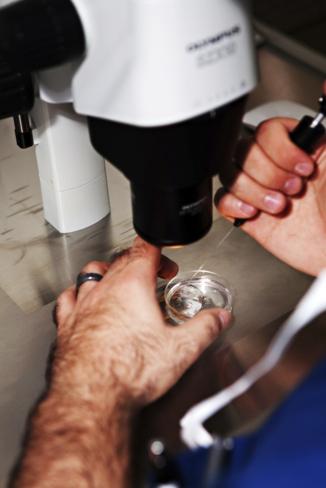 High tech lab equipment used in the in vitro fertilization process